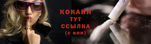 сатива Верея